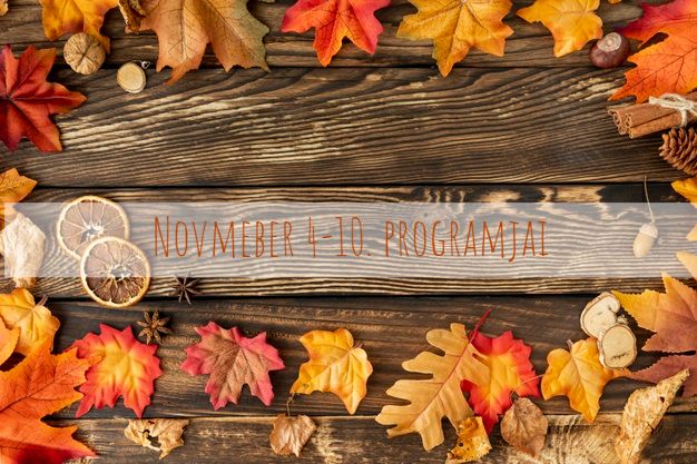 November 4-10. programjai