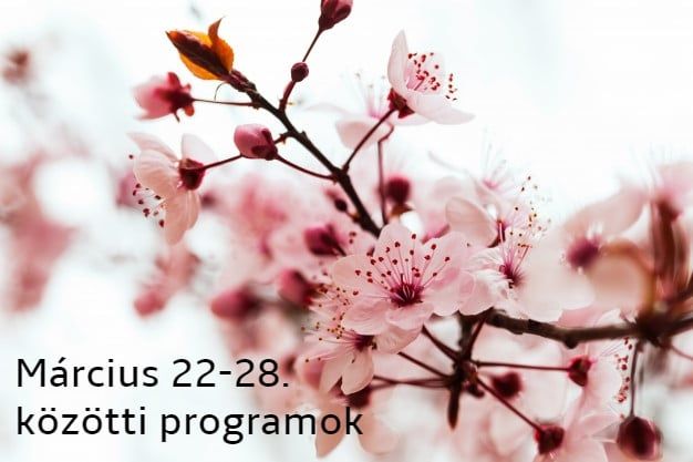 Március 22-28. közötti programok, lehetőségek Budaörsön