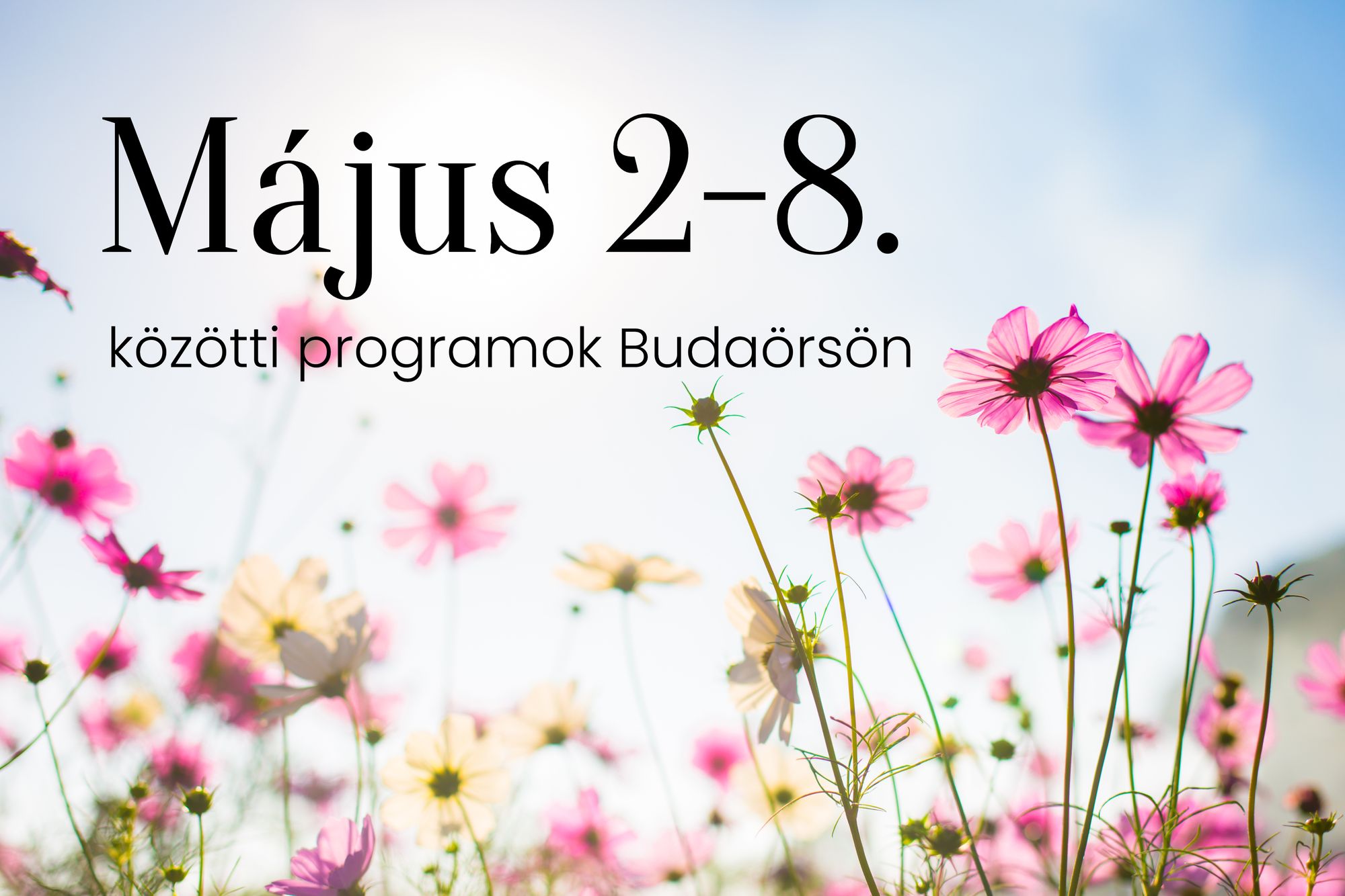 Május 2-8. közötti programok Budaörsön